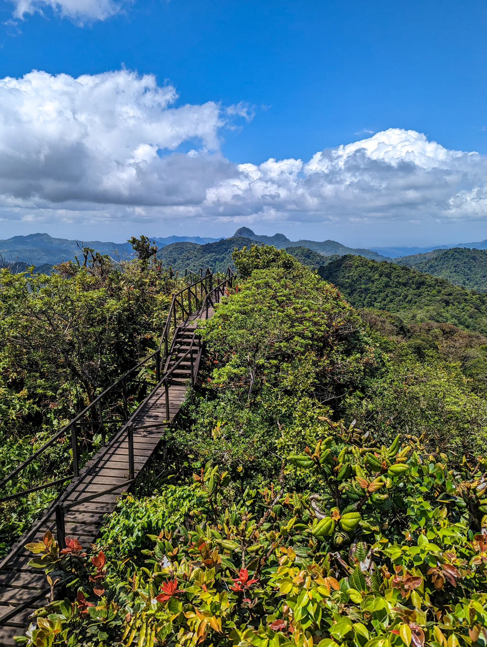Cerro La Gaita